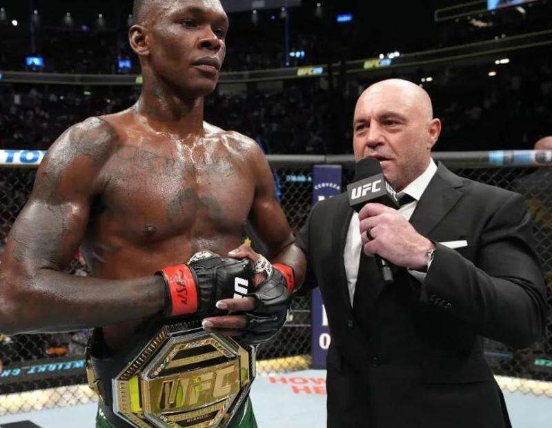 佩雷拉在Ins上的UFC粉丝群体